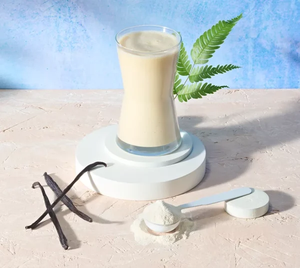 Protein Drink Mix 588g